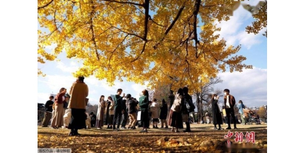 Survey: Japan's total population has decreased continuously, and the aging rate has set a new record